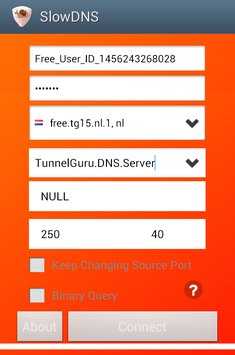 تنزيل تطبيق VPN Over DNS Tunnel : SlowDNS APK للاندرويد