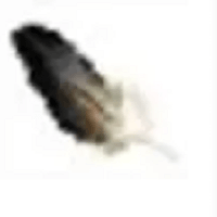 →