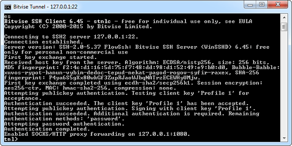 instal the last version for apple Bitvise SSH Client 9.31